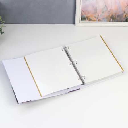 Photo album 50 magnetic sheets (100 -steer) "branch" 23x28 cm-2