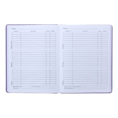 Universal diary for grades 1-11, 48 Velvet sheets, hard cover, artificial leather, thermoting, liesse, block 70 g/m2, purple-1