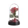 Night rose -rose LED 3XAG10 8.5x8.5x15.5 cm