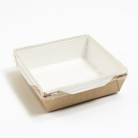 Container with a transparent lid, craft, 0.9 l, 15 x 15 x 5 cm