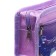 School Penal at Calligrata "Bears", 2 departments, lilac