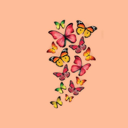 Thermalrotransfer "Butterflies", 11 × 19.5 cm-3