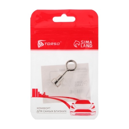 Neodymal magnet Torso with a loop for a car, d 10 mm, clutch 1.5 kg-2