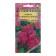 Flower seeds Ageratum "Cardinal Bordeaux", 0.05 g
