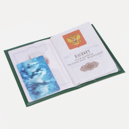 Cover for passport, green color-4
