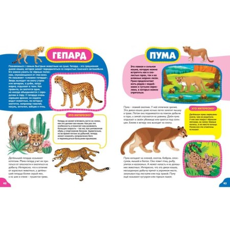 Animals for kids-9