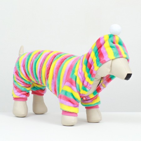 Combiason "Rainbow" with a hood, size 2xl (DS 45 cm, Osh 45 cm, og 55 cm)-2
