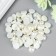 Set for creativity half the pearl d = 1 cm 20g