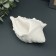 Steel stand - Climb "Shell Rawn" 12x15x5cm, white