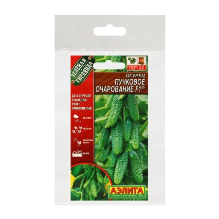 Seeds of cucumber "Board charm", F1, set 5 pcs-2