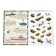 Activati-book with stickers and toy "Military equipment", 12 p.