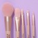 A set of makeup brushes "The most stylish", 5 pcs