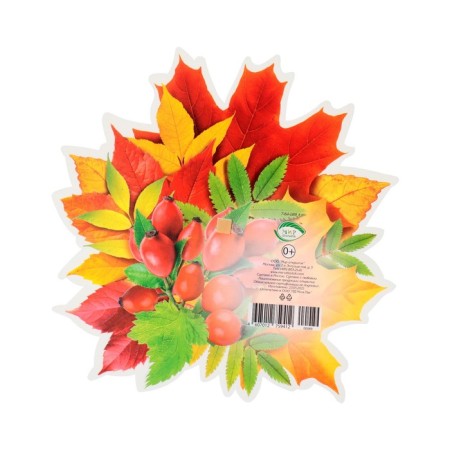 Decoration on the adhesive tape "Autumn Bouquet" Rosehip, 26x26 cm-1