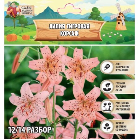 Lilia Tiger "Corsage", rr 12/14, 2 pcs, spring 2024