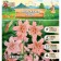 Lilia Tiger "Corsage", rr 12/14, 2 pcs, spring 2024