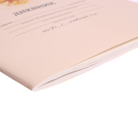 Universal diary for grades 1-11, "beige delicate plain", soft cover, 40 sheets-2