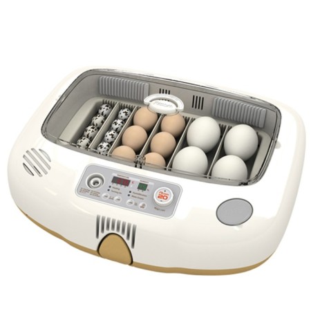 Incubator, 20 eggs, automatic coup, 65 V, with ovoscope, rcom