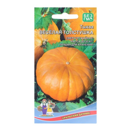 Seeds of pumpkin "Funny fat", 6 pcs