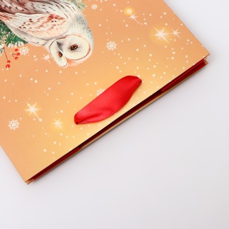 Gift package "Owl", 18 x 22.3 x 10 cm-2