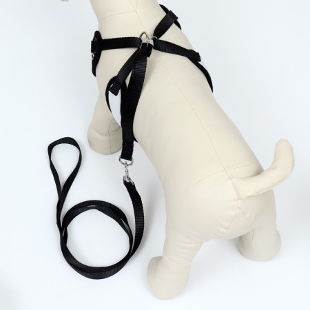 A set with a soft harness with a bow "Cell", L, leash 120 x 1.5 cm, og 35-50 cm, black 96837-2