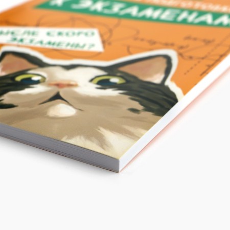 Planning for preparation for exams, A5 60 liters. Soft cover "Cat"-1