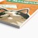Planning for preparation for exams, A5 60 liters. Soft cover "Cat"