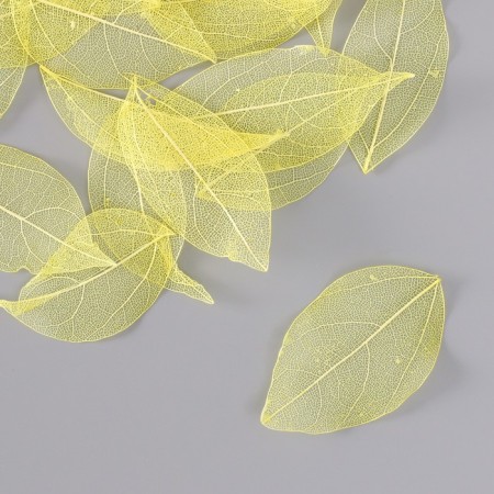 Leaves skeletered for creativity "yellow" set 20 pcs h = 6-6.5 cm-1