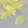 Leaves skeletered for creativity "yellow" set 20 pcs h = 6-6.5 cm