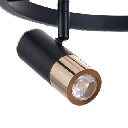 Acropolus chandelier 35W LED black, gold 2700-6400K 30x30x15cm-8