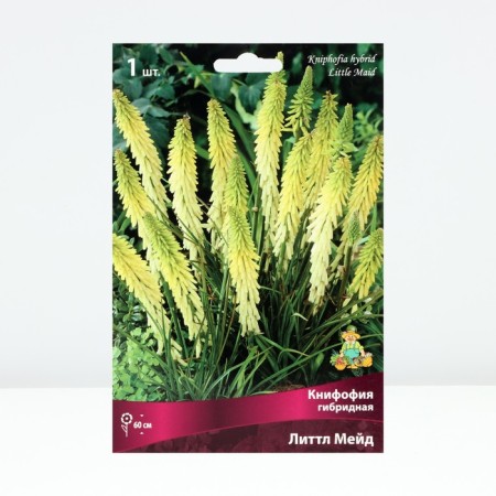 Signfofia Hybrid Little Made, Rr. I, 1 pc, Spring 2025