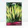 Signfofia Hybrid Little Made, Rr. I, 1 pc, Spring 2025