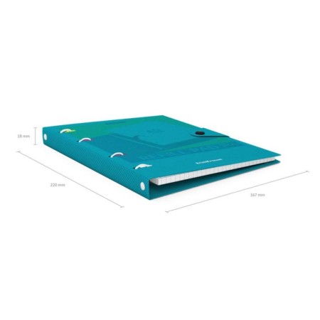A notebook on the rings A5, 80 sheets in the Erichkrause "Glance Vivid", a plastic cover on a button, an offset unit, a whiteness is 100%, mix-6