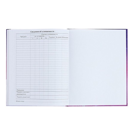 Diary for grades 1-4 "Tender Dreams", solid cover, holography, 48 sheets-8