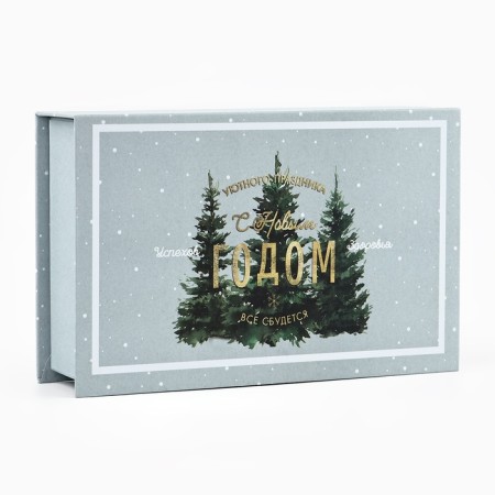 Box - book "New Year's Night", 20 x 12.5 x 5 cm, New Year-2