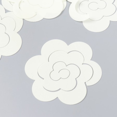 The workpiece of Foamiran "Flower Curly" 10x9.5 cm set 5 pcs. Shampan-2