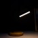 LED LED LED 4W USB 3000-6000K Black 14.5x23x38.5 cm Risalux