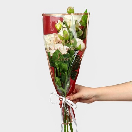 Package for the colors of the "most beautiful", red, 28 x 9 x 43.5 cm-4