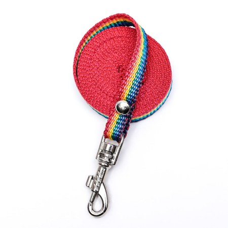 Kapron "Rainbow" leash, 1.6 m x 1 cm-1