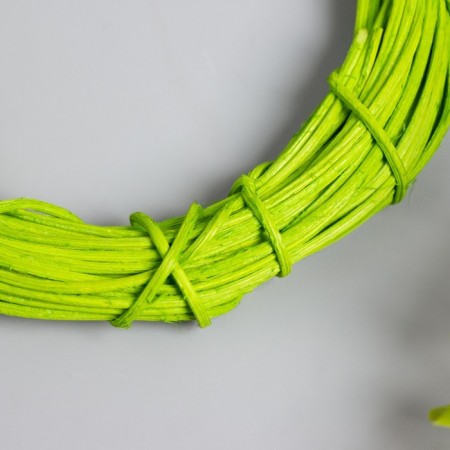 Ring Roadan for manufacturing a green catfish "Green" d = 10 cm-1