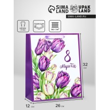 Package Gift Laminated Vertical 