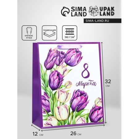 Package Gift Laminated Vertical "Festive Mix", M 26 × 32 × 12 cm