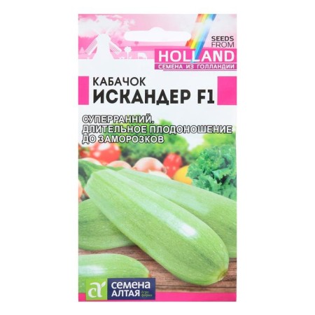Semen zucchini "Iskander", f1, c/p, 5 pcs.