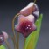 Flowers "Bells", 5 flowers, 12x11 cm