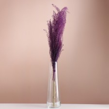 A set of dried flowers 