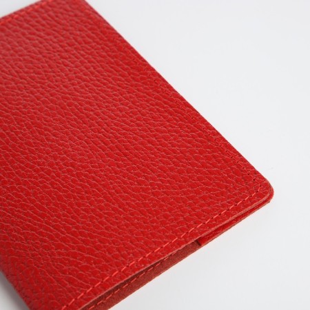 Cover for passport, red color-3