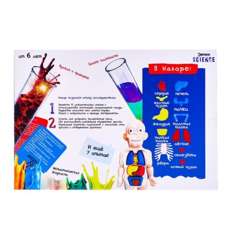 Set for experiments "Scientific set 2B1", model of the human body and laboratory dishes-10