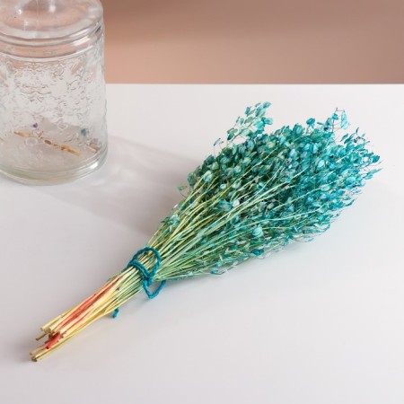 Set of dried flowers "Monetnik", banch length 60 (+/- 6 cm), turquoise-3