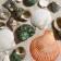 Set of shells, mix No. 2, 100 g