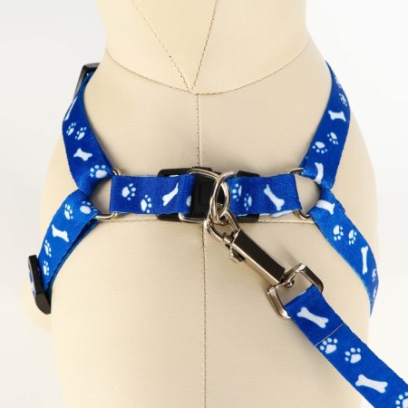 Kapon "Bones and Paws" kit, leash 120 x 1.5 cm, og 30-44 cm, blue-3
