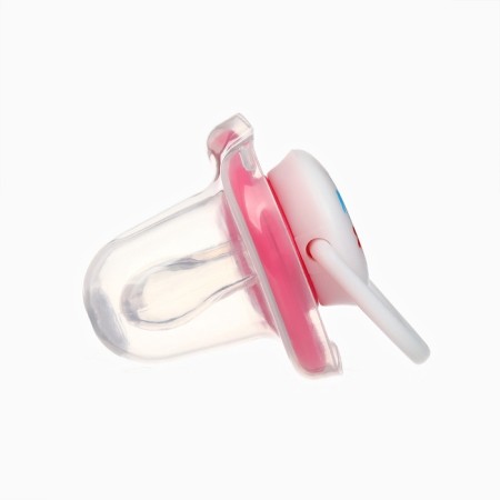 Nipple - anatomical dummy "for a girl" +6 months, 2 pcs., Holder 1 pc. + container.-9